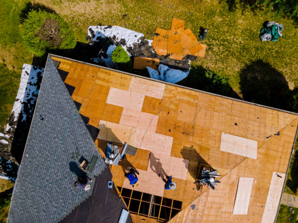 Best Emergency Roof Repair  in Danvle, IL