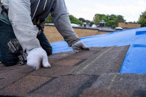 Best New Roof Installation  in Danvle, IL