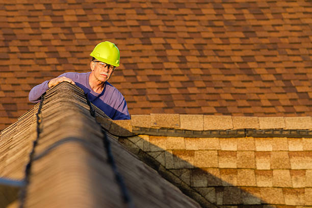 Roof Gutter Cleaning in Danville, IL
